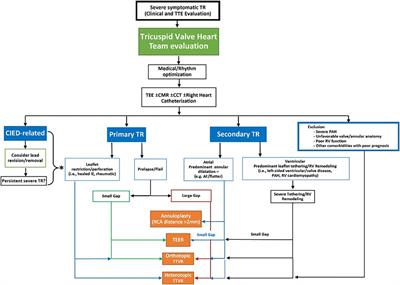 Editorial: Imaging in structural heart interventions